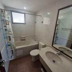 Twin Heights (D12), Apartment #498213961